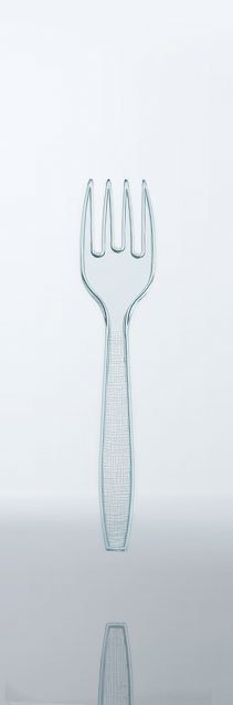 Medium Fork